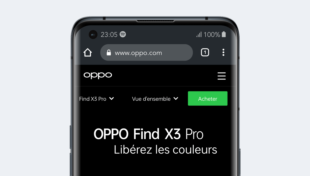 OPPO Find X3 PRO, viewport CSS de 360 x 804 pixels