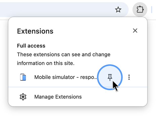 Pin the extension